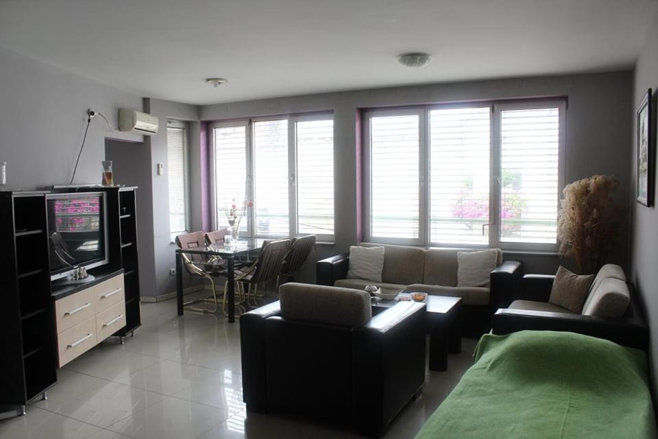 Apartman Natasa 1 Vrsac Ngoại thất bức ảnh